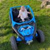 Дитячий двомісний електромобіль Bambi Buggy TURBO RR (MP3) з багажником, синій
