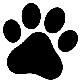 Оплата по частям Monobank