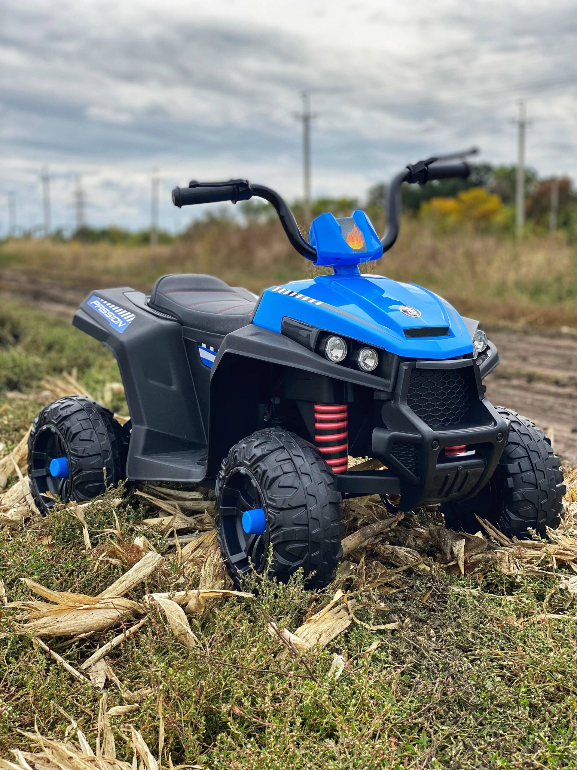 Дитячий електроквадроцикл Bambi Extreme Passion (MP3), синій